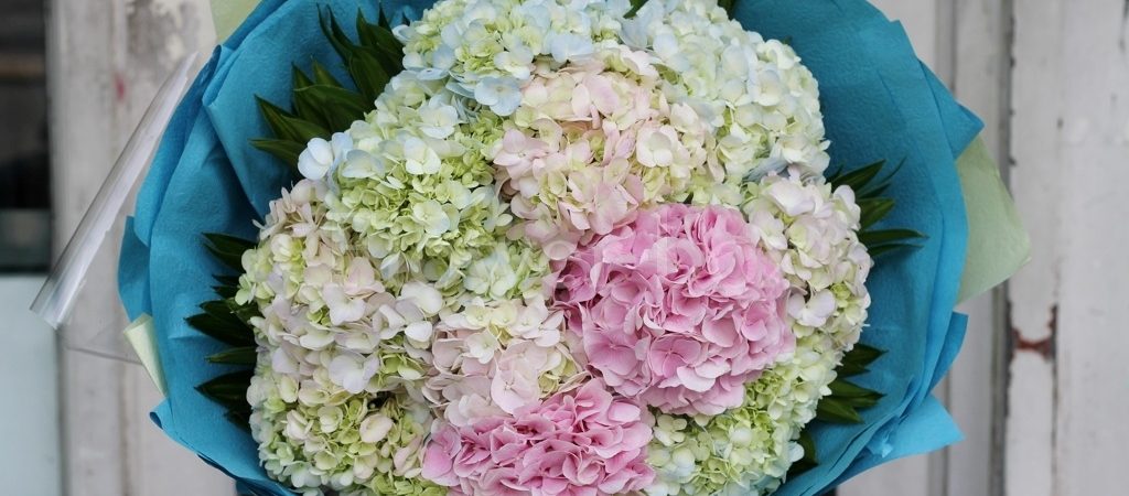 Gợi ý chọn các loại hoa Ý nghĩa tặng thầy cô dịp 20 – 11